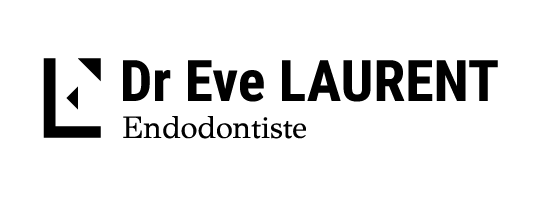 eve-laurent-logo